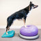 FitPAWS Huisdieren balanshelling 35x35x7 cm blauw