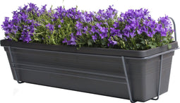 Campanula Addenda Lavender in ELHO ® Green Basics balkonbak (Living Black) met metalen balkonrek ↨ 30cm - hoge kwaliteit planten
