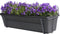 Campanula Addenda Lavender in ELHO ® Green Basics balkonbak (Living Black) met metalen balkonrek ↨ 30cm - hoge kwaliteit planten