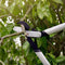 Fiskars PowerGear X LX94 - Takkenschaar Bypass M - 64 cm - Snijkracht tot Ø 50 mm