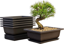Bonsai Oefenpotten Set - 6 Hoogwaardige Kunststof Potten met Dienbladen | Perfect voor Beginners & E