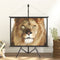vidaXL - Projectiescherm - met - statief - 1:1 - 67''