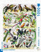Birds ~ Oiseaux - NYPC Vintage Images Collectie Puzzel tropische vogels en roofvogels 1000 Stukjes