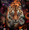 Glasschilderij tijger - glasschilderij dieren 80x80cm