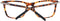 Scotch & Soda SS3010 51101 bril zonder sterke - Dames - Bruin