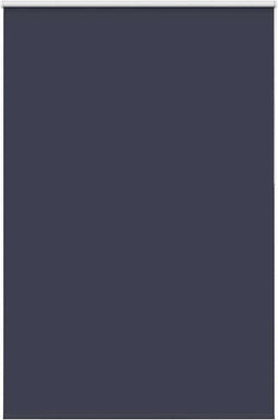 vidaXL - Rolgordijn - verduisterend - 155x210 - cm - stofbreedte - 151,6 - cm - blauw
