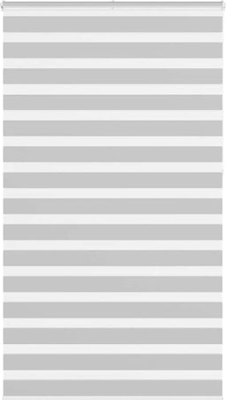 vidaXL - Zebra - rolgordijn - 135x230 - cm - stofbreedte - 130,9 - cm - lichtgrijs