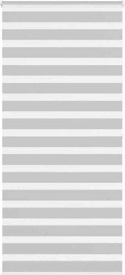 vidaXL - Zebra - rolgordijn - 105x200 - cm - stofbreedte - 100,9 - cm - lichtgrijs