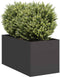 vidaXL - Plantenbak - 40x80x40 - cm - koudgewalst - staal - zwart