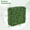 coast Kunstplantenwand - Buxus - Realistische PE Bladeren - Groen - 92 × 38 × 86 cm
