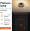 Nolt Plafondlamp Arcadia - Plafonnière E27 - Industrieel - ⌀ 40cm - Zwart