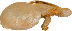 Safaary - Richmond Decoratie Box Goud Turtle - 34,5x34,5 CM