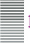 vidaXL - Zebra - rolgordijn - 125x200 - cm - stofbreedte - 120,9 - cm - donkergrijs