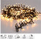 Micro Cluster - 700 LED - Kerstverlichting - 8 Lichtfuncties - Warm Wit Extra Warm Wit - 14m