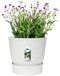 Elho Greenville Rond 47 - Grote Bloempot met Waterreservoir - 100% Gerecycled Plastic - Ø 47 x H 44 cm - Wit