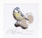 Thea Gouverneur - Borduurpakket met telpatroon - 509A - Voorgesorteerde DMC Garens - Geboortetegel Mees - Aida - 15 cm x 15 cm - DIY Kit