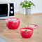 EMSA CLIP & MICRO Rond Doos 2.6 l Rood. Transparant 1 stuk(s)