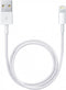 Apple - Lightning naar USB Kabel - 0.5m - Wit