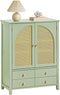 SoBuy FSB72-GR - Schoenenkast - 4 Lades 2 Deuren Rattan Groen