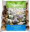 100 Krokussen Bloembollen - Bloembollen Krokus - Krokus - Bloembollen Mix - Biologische Bloembollen - Zomerbollen - (XXL Bloembollen Formaat 8/9 cm) - Organifer
