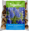 100 Muscari Armeniacum Bollen - Muscari Bloembollen - Biologische Bloembollen - Zomerbollen - Lente Bloemen - (XXL Bloembollen formaat 9/10 cm) - Organifer