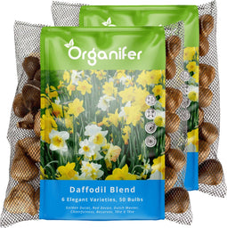 100 Narcissen Bloembollen - 6 Elegante Soorten - Bloembollen Narcis - Narcis Bollen - Biologische Bloembollen Mix - (XXL Bloembollen formaat 12/ 14 cm) - Organifer