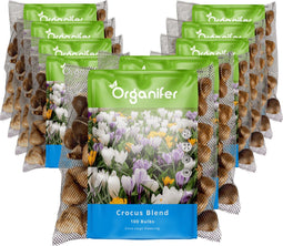 1000 Krokussen Bloembollen - Bloembollen Krokus - Krokus - Bloembollen Mix - Biologische Bloembollen - Zomerbollen - (XXL Bloembollen Formaat 8/9 cm) - Organifer