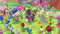 Hello Kitty Island Adventure - Gift Box Edition - Nintendo Switch - 300+ extra voorwerpen