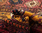Vidal 159x88 Afghan Carpet