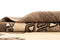 Vidal 145x107 Gabbeh Carpet
