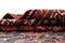 Vidal 258x176 Ghashghai Carpet