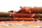 Vidal 199x153 Jajim old Carpets