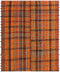 Vidal 177x144 Jajim old Carpets