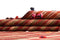 Vidal 235x168 Jajim old Carpets