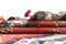 Vidal 360x134 Jajim old Carpets