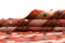 Vidal 258x175 Jajim old Carpets