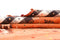Vidal 204x160 Jajim old Carpets