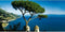 Douchegel Blu Mediterraneo Fico Di Amalfi Acqua Di Parma (200 ml)