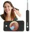 Bebird R1