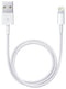 Apple - Lightning naar USB Kabel - 0.5m - Wit