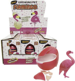 12 groeiende flamingo in ei in disp 9241