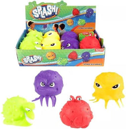 12 Spons zeedieren in display