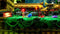 Sega Sonic Superstars - Xbox Series S|X & One - 2D platformactie met co-op (2023)
