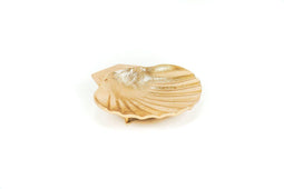 Housevitamin - Gouden schelp - 26X25X5CM