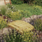 vidaXL - Tuinbrug - met - leuning - 170x74x105 - cm - geïmpregneerd - grenenhout