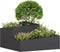 vidaXL - Plantenbak - Zwart - 80x80x50 - cm - Koudgewalst - Staal
