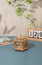 Robotime ROKR AMK52 - Muziekdoos - DIY - Secret Garden - Houten Modelbouw