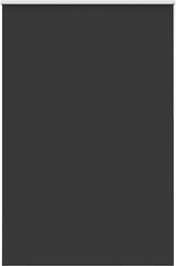 vidaXL - Rolgordijn - verduisterend - 155x210 - cm - stofbreedte - 151,6 - cm - zwart