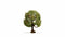 NOCH 20145 Boom Appelboom 80 mm 1 stuk(s)