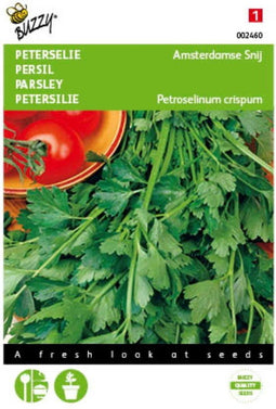 2 stuks - Buzzy - Peterselie Amsterdamse Snij